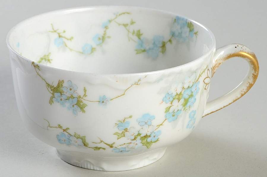 Schleiger 248B Flat Cup by Haviland-1