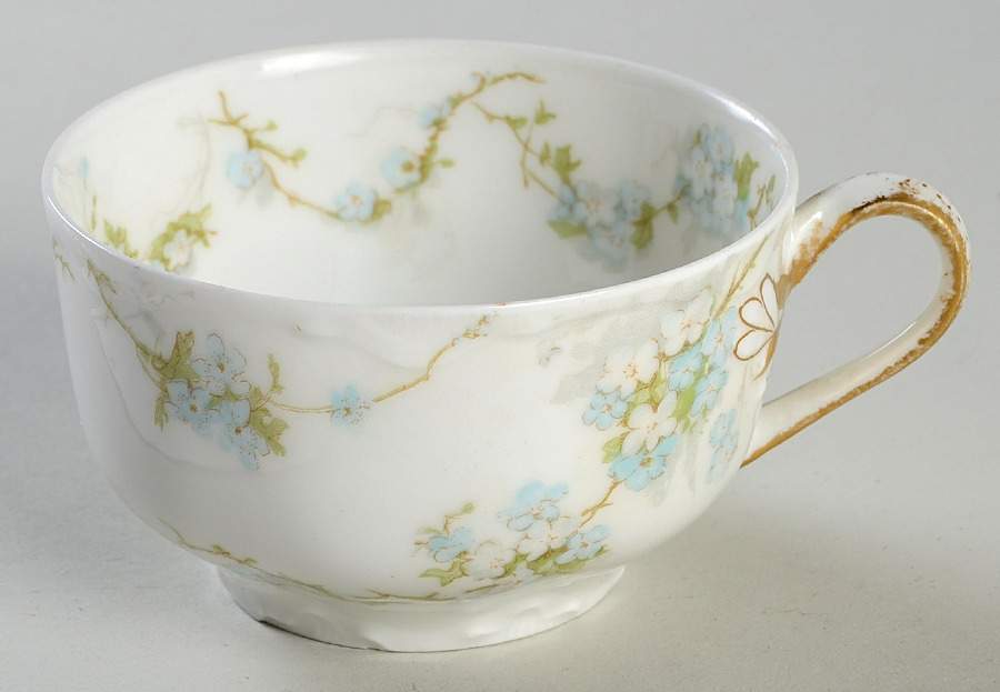Schleiger 248B Flat Cup by Haviland-1