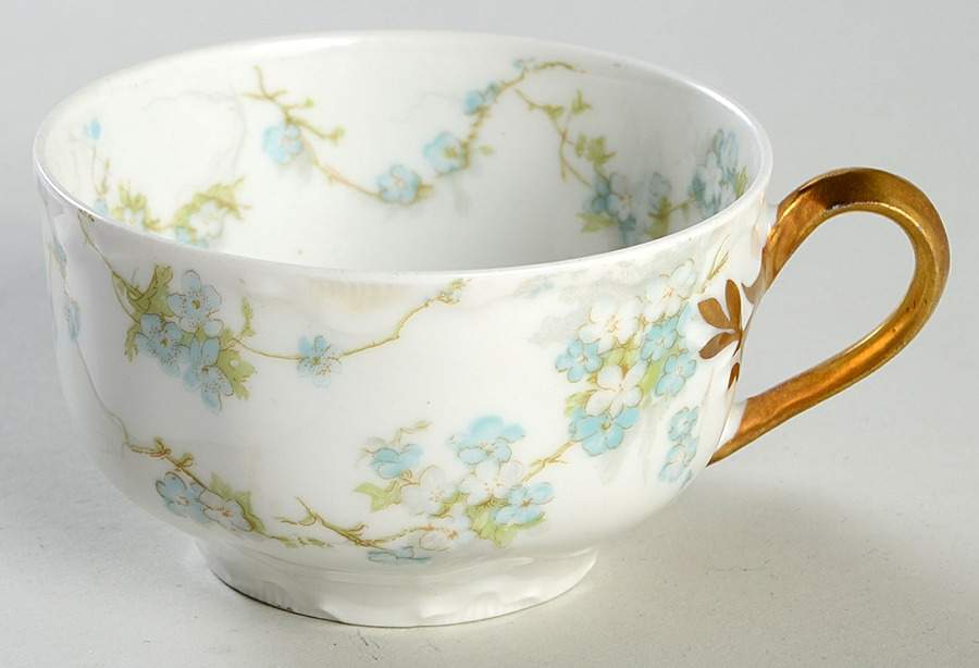 Schleiger 248B Flat Cup by Haviland-1