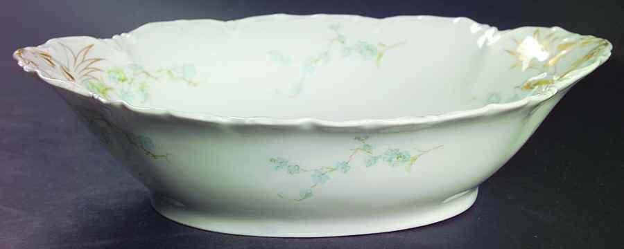 Schleiger 248B 9" Oval Vegetable Bowl by Haviland-1