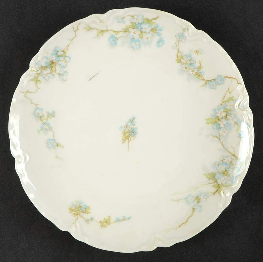 Schleiger 248B Coupe Salad Plate by Haviland-1