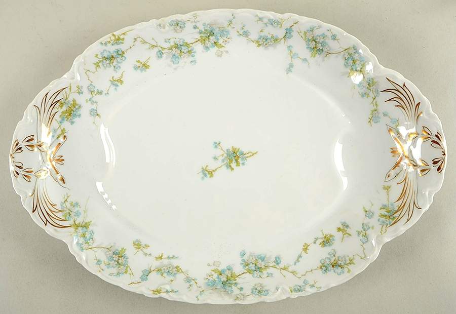 Schleiger 248B 17" Oval Platter with Well by Haviland-1
