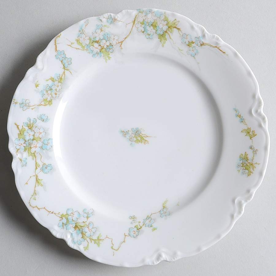 Schleiger 248B Salad Plate by Haviland-1