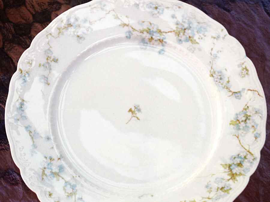 Schleiger 248d Dinner Plate by Haviland-1