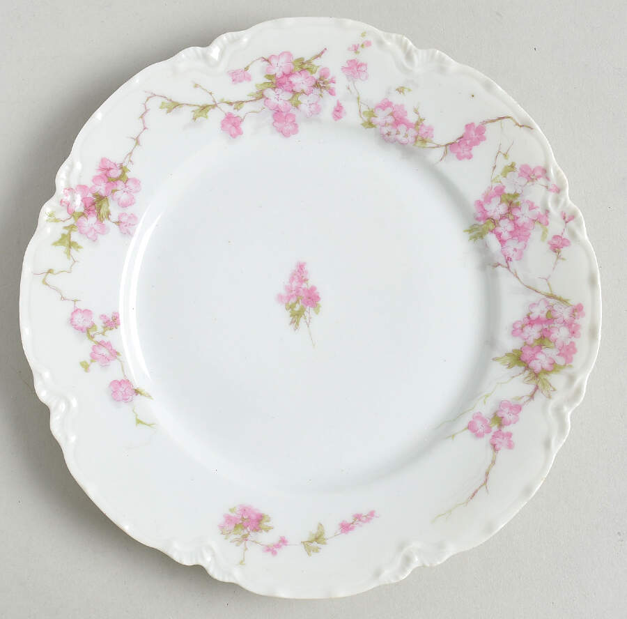 Schleiger 248F Salad Plate by Haviland-1