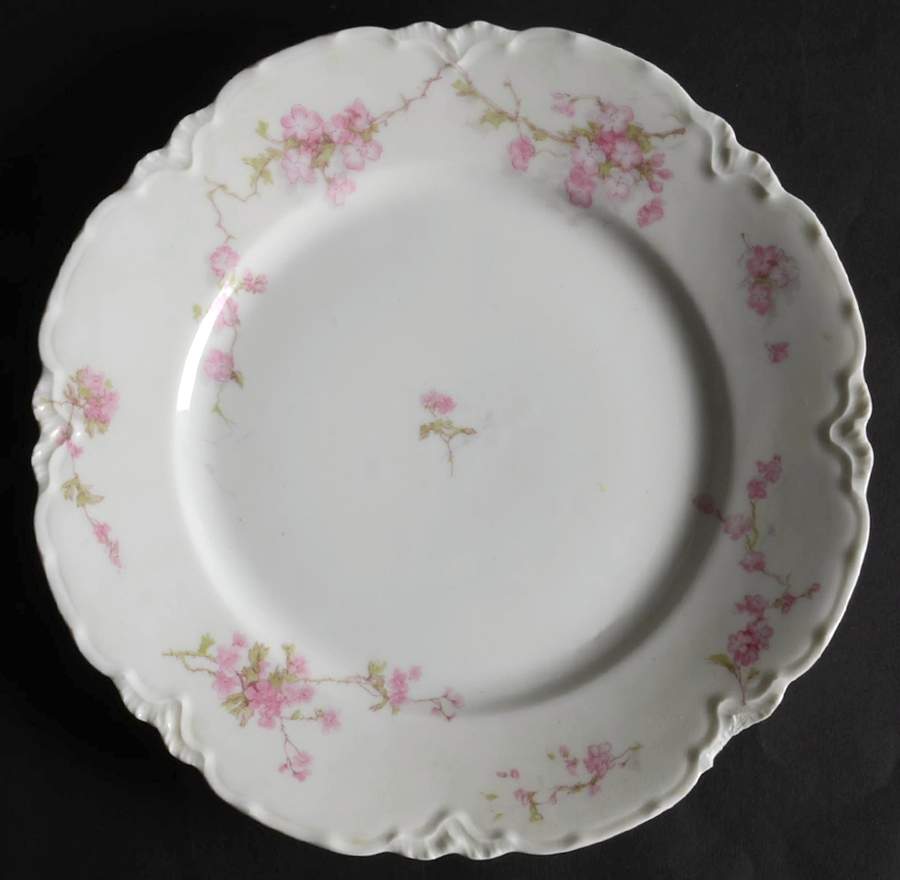 Schleiger 248F Luncheon Plate by Haviland-1