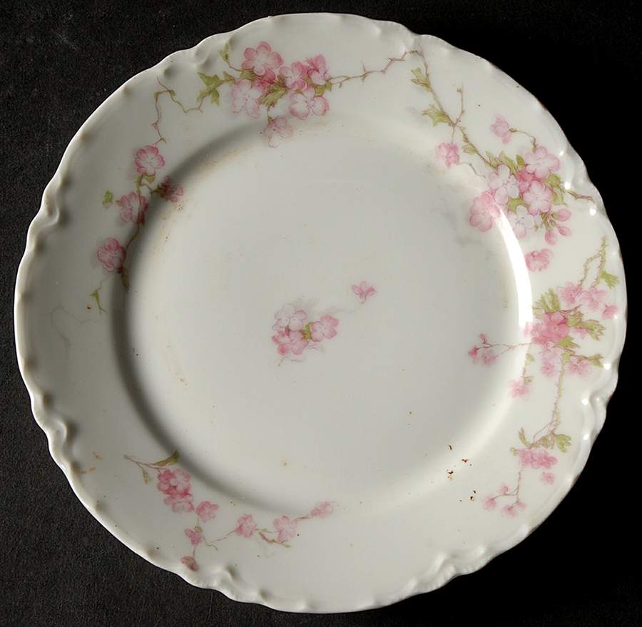 Schleiger 248F Bread & Butter Plate by Haviland-1
