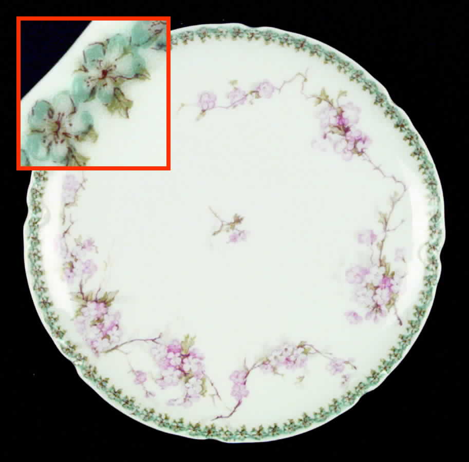 Schleiger 248G Salad Plate by Haviland-1