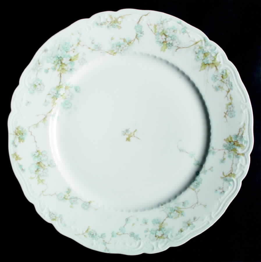 Schleiger 248L Dinner Plate by Haviland-1