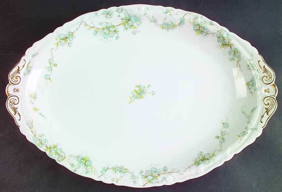 Schleiger 248L 16" Oval Serving Platter by Haviland-1