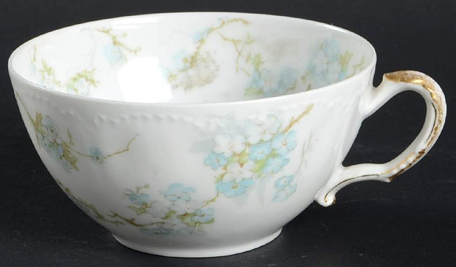 Schleiger 248n Flat Cup by Haviland-1