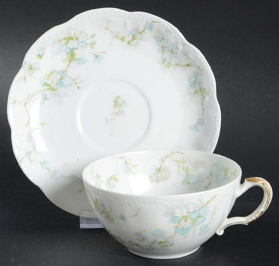 Schleiger 248n Flat Cup & Saucer Set by Haviland-1