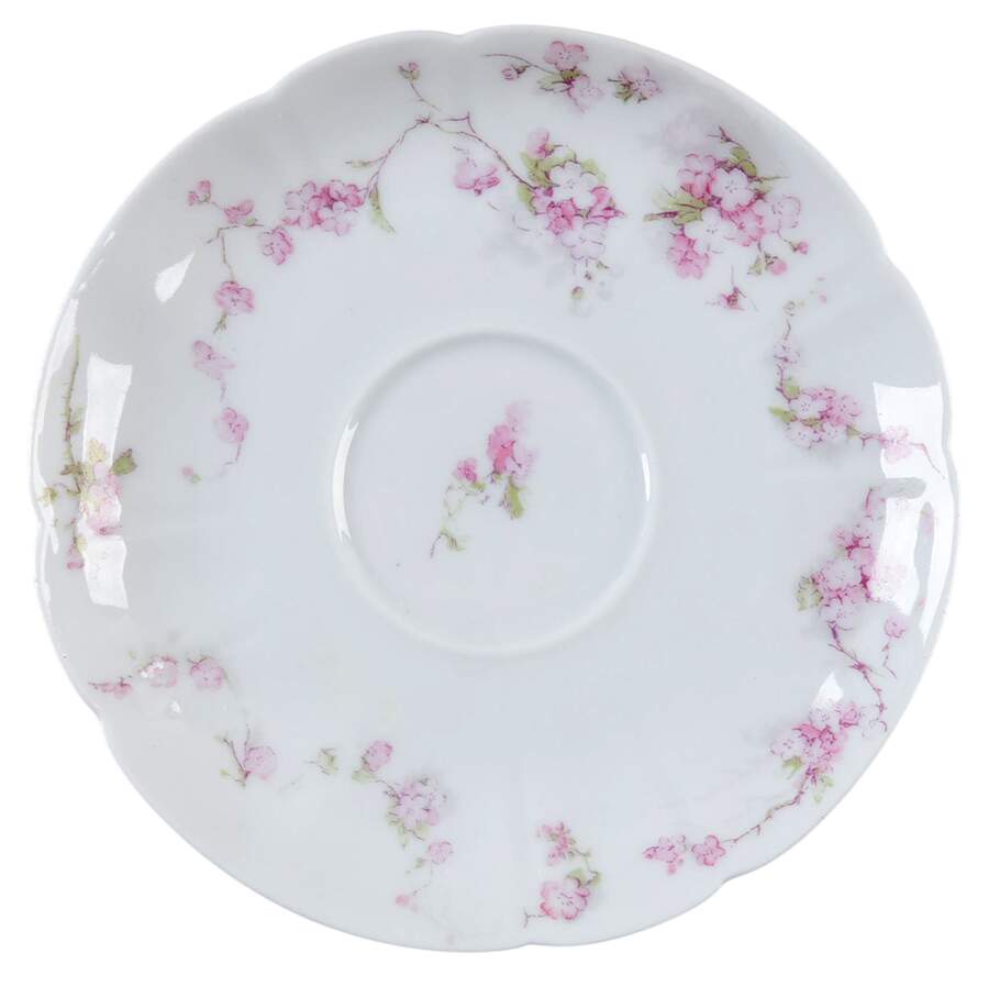 Schleiger 248s Saucer by Haviland-1