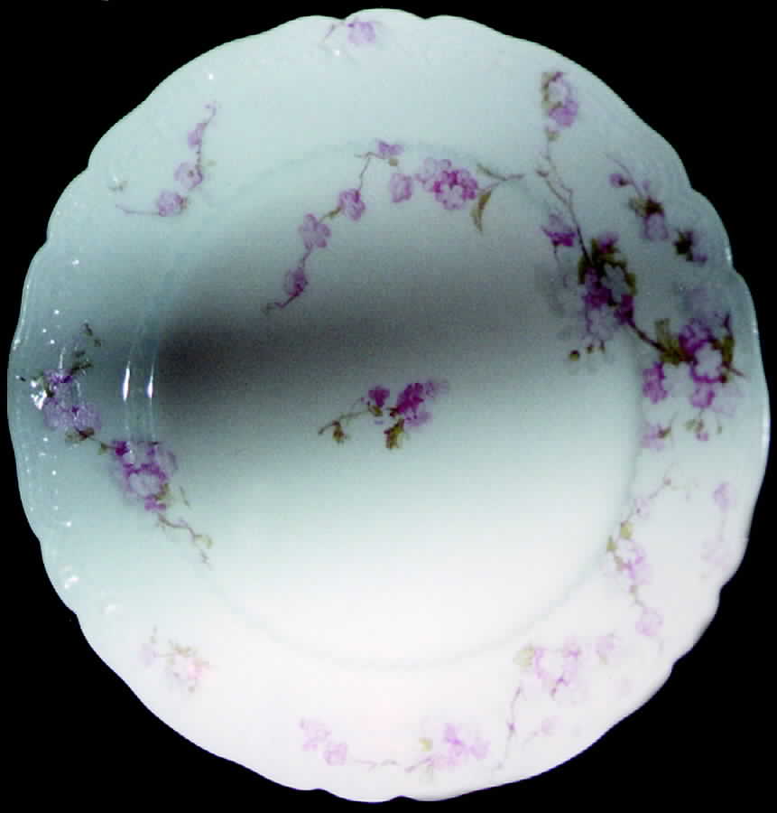 Schleiger 248s Salad Plate by Haviland-1