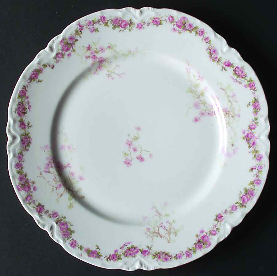Schleiger 251 Dinner Plate by Haviland-1