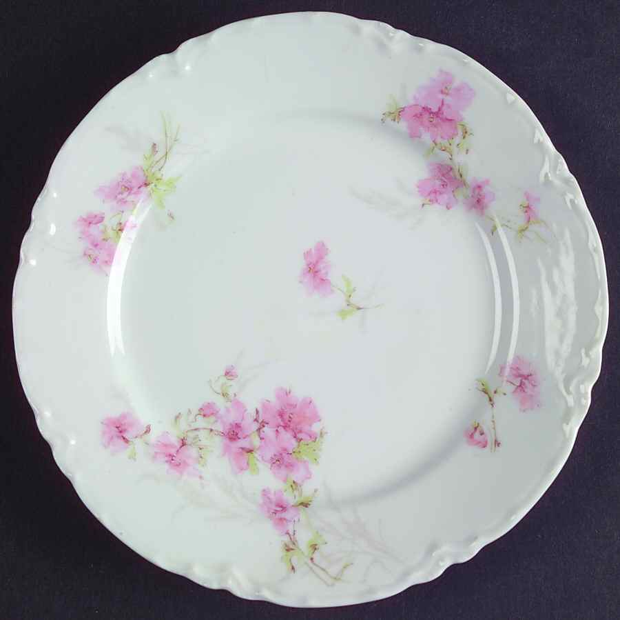 Schleiger 254b Bread & Butter Plate by Haviland-1