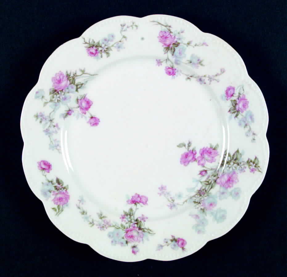 Schleiger 261C Salad Plate by Haviland-1