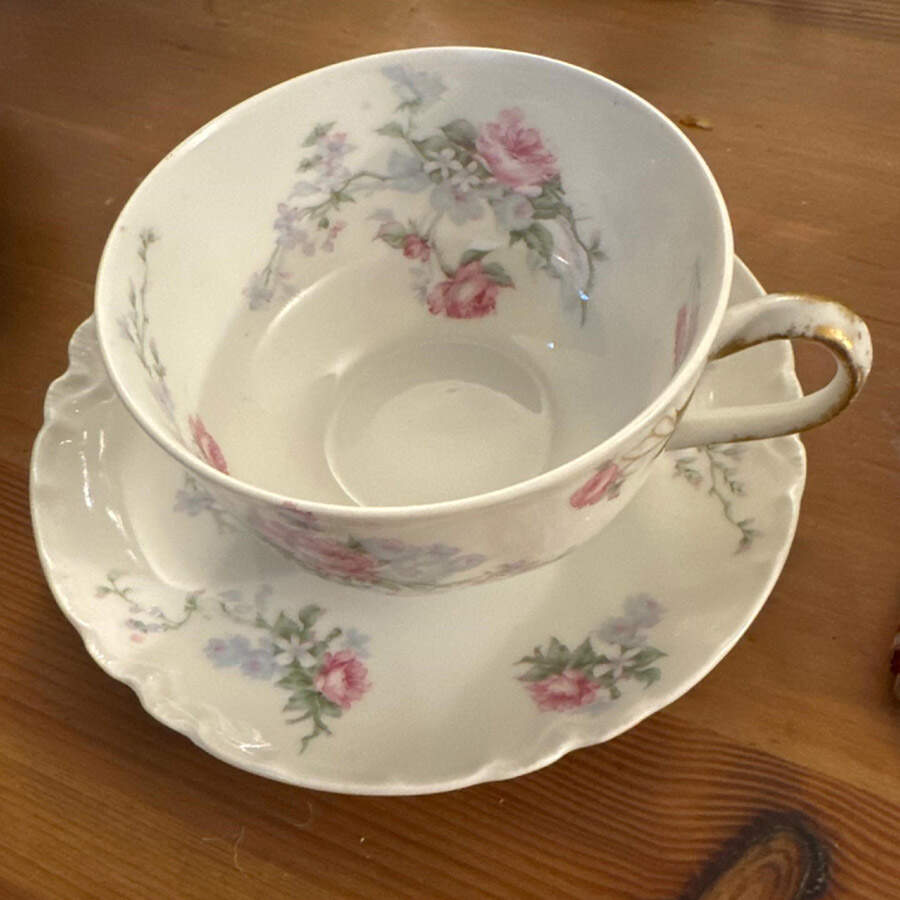 Schleiger 261i Flat Cup by Haviland-1