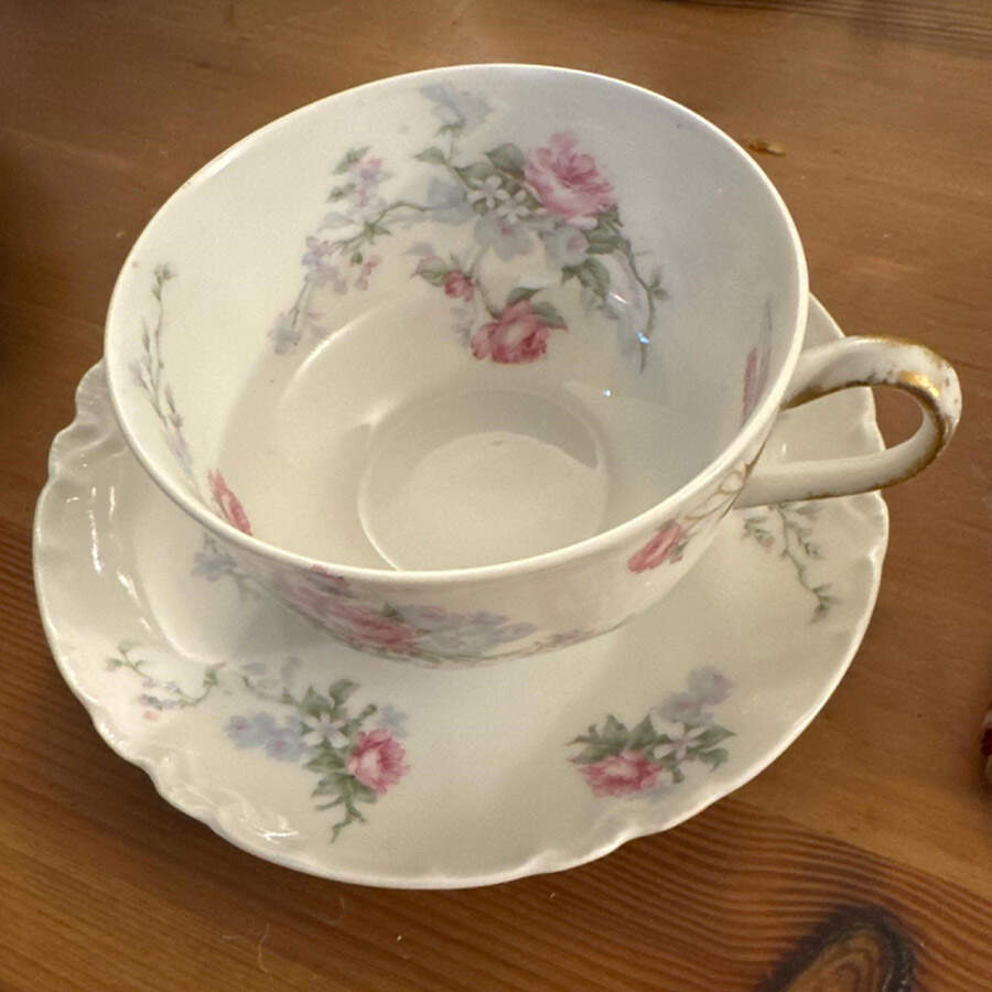 Schleiger 261i Flat Cup & Saucer Set by Haviland-1