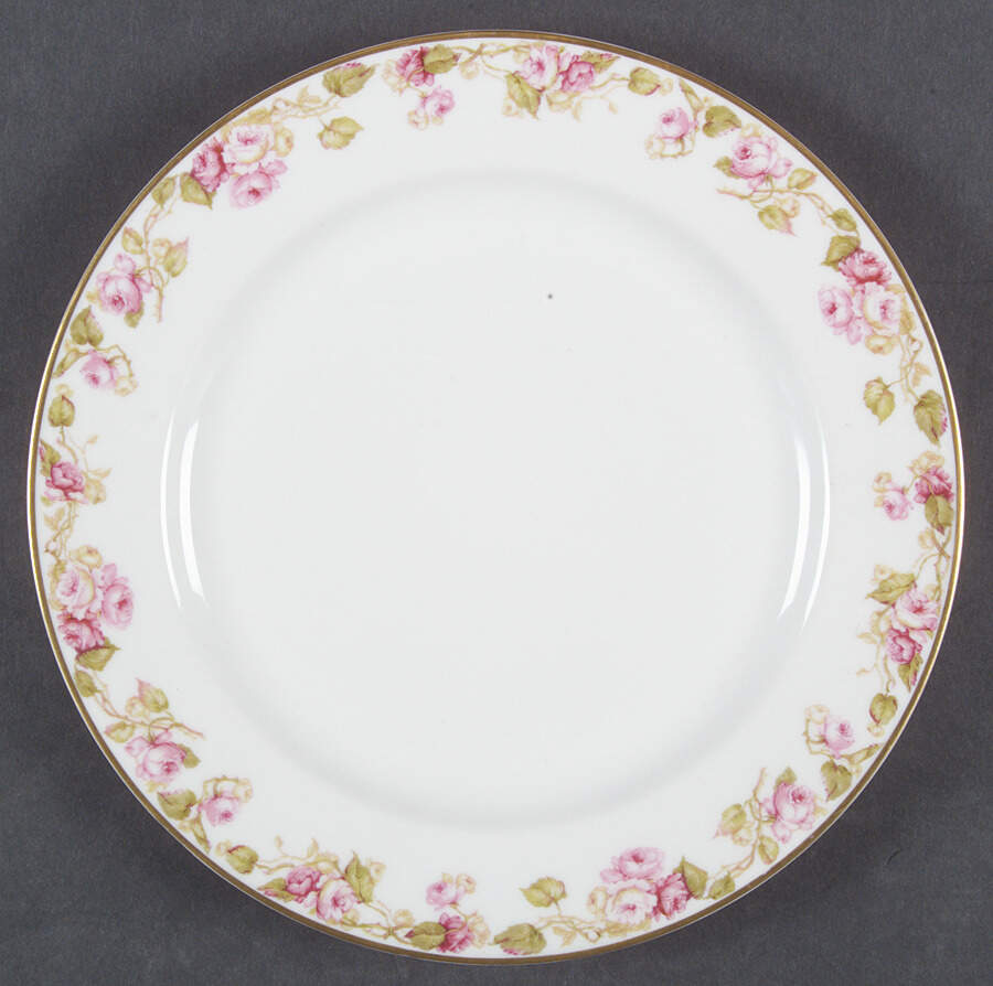 Schleiger 267 Dinner Plate by Haviland-1