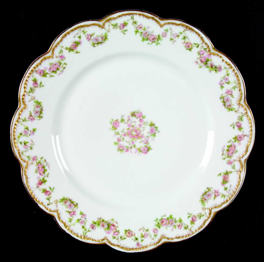 Schleiger 270 Dinner Plate by Haviland-1