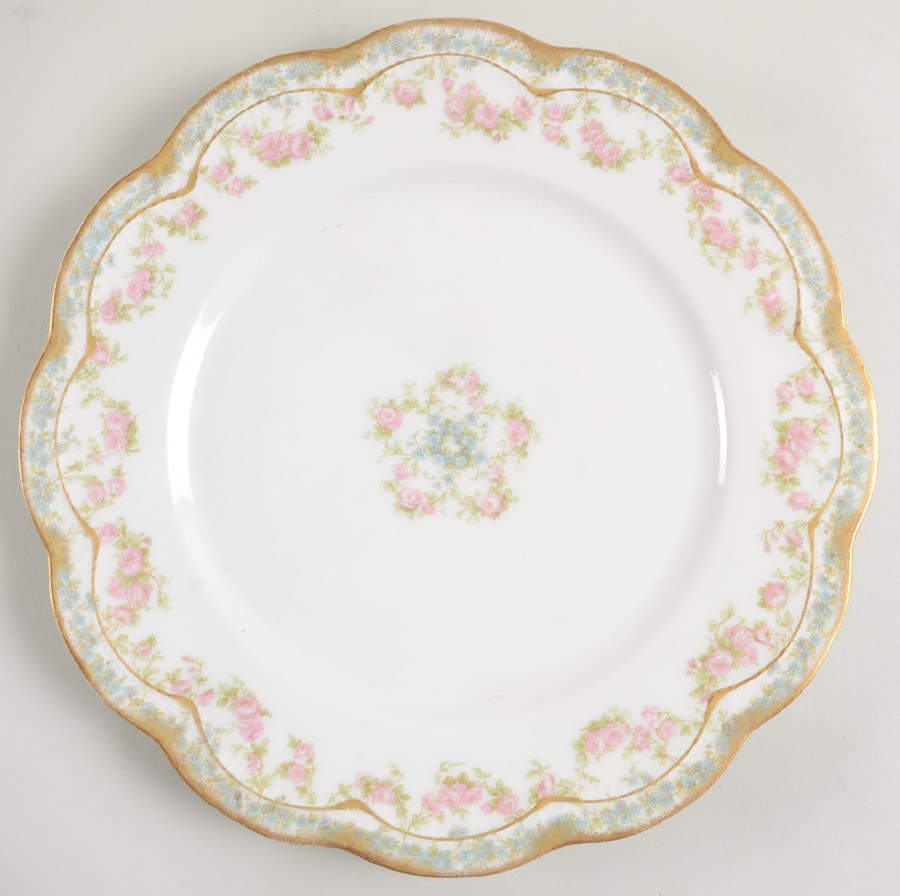 Schleiger 271A Dinner Plate by Haviland-1