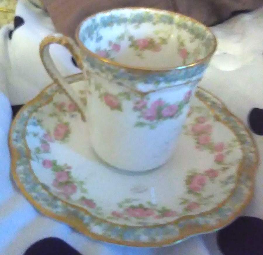 Schleiger 271A Chocolate Cup & Saucer Set by Haviland-1