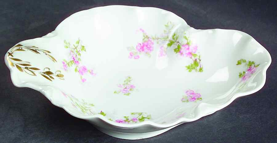 Schleiger 29 Relish by Haviland-1
