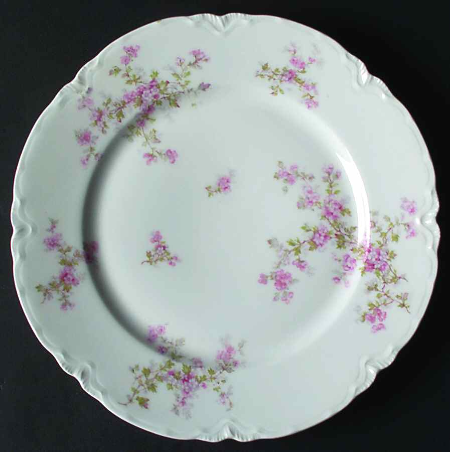 Schleiger 29 Dinner Plate by Haviland-1