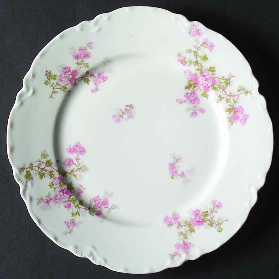 Schleiger 29 Salad Plate by Haviland-1