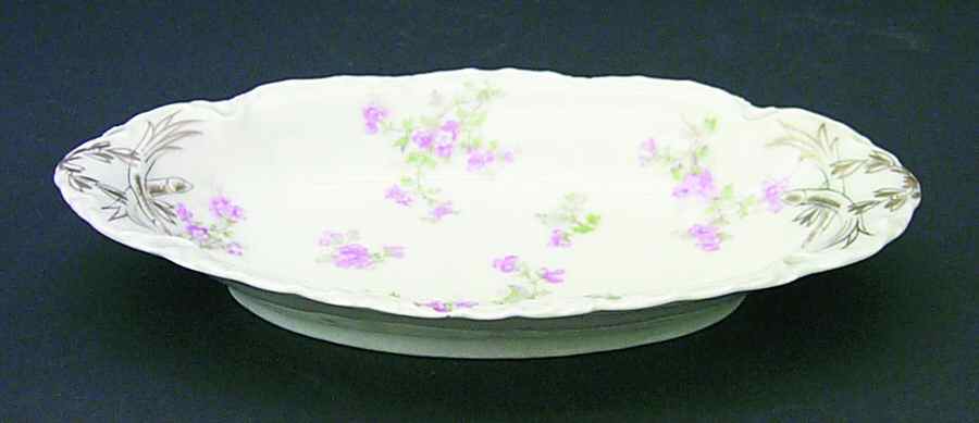 Schleiger 29 Relish by Haviland-1
