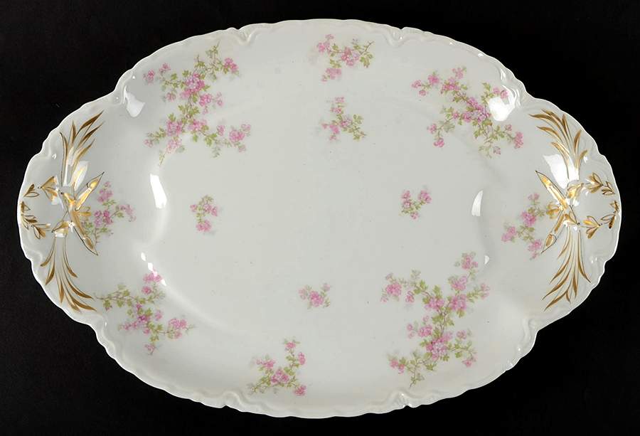 Schleiger 29 17" Oval Platter with Well by Haviland-1