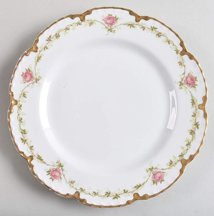 Schleiger 291A Dinner Plate by Haviland-1