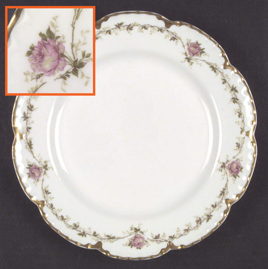 Schleiger 291A Dinner Plate by Haviland-1