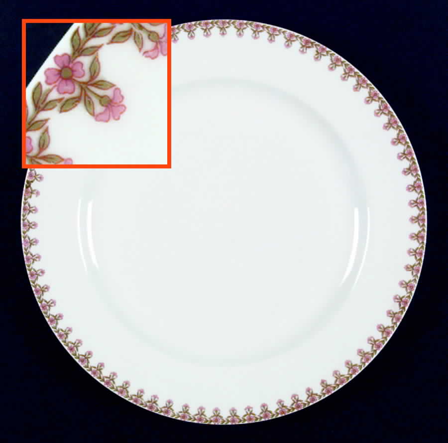 Schleiger 294 Dinner Plate by Haviland-1
