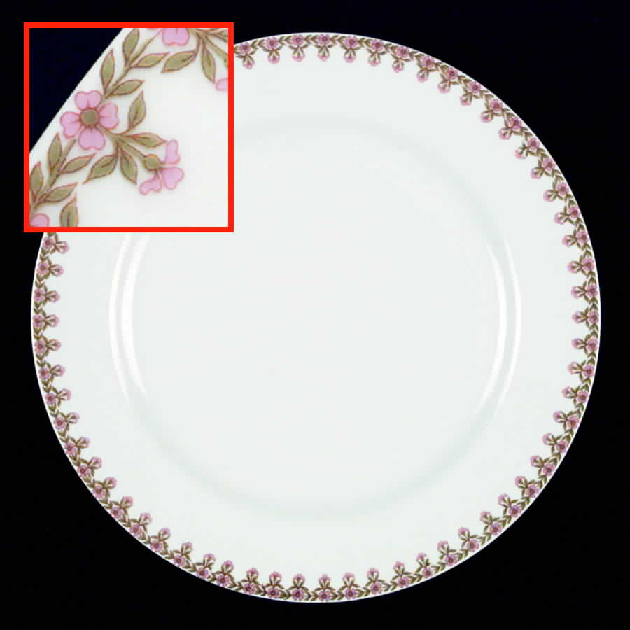 Schleiger 294 Luncheon Plate by Haviland-1