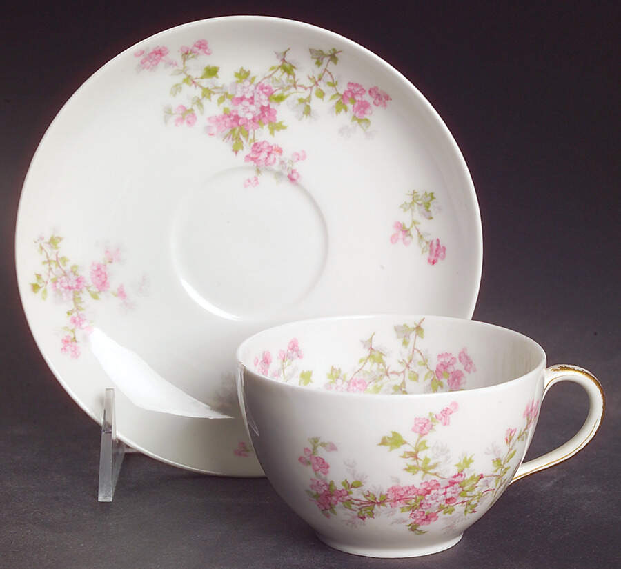 Schleiger 29a Flat Cup & Saucer Set by Haviland-1