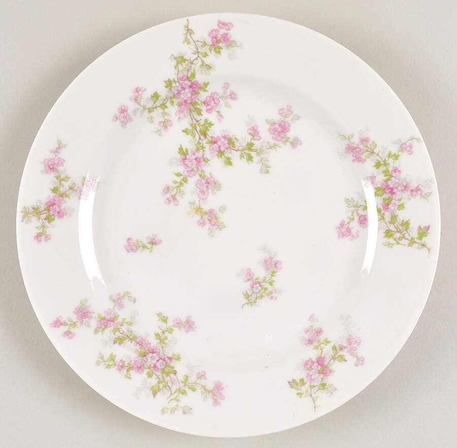 Schleiger 29a Luncheon Plate by Haviland-1
