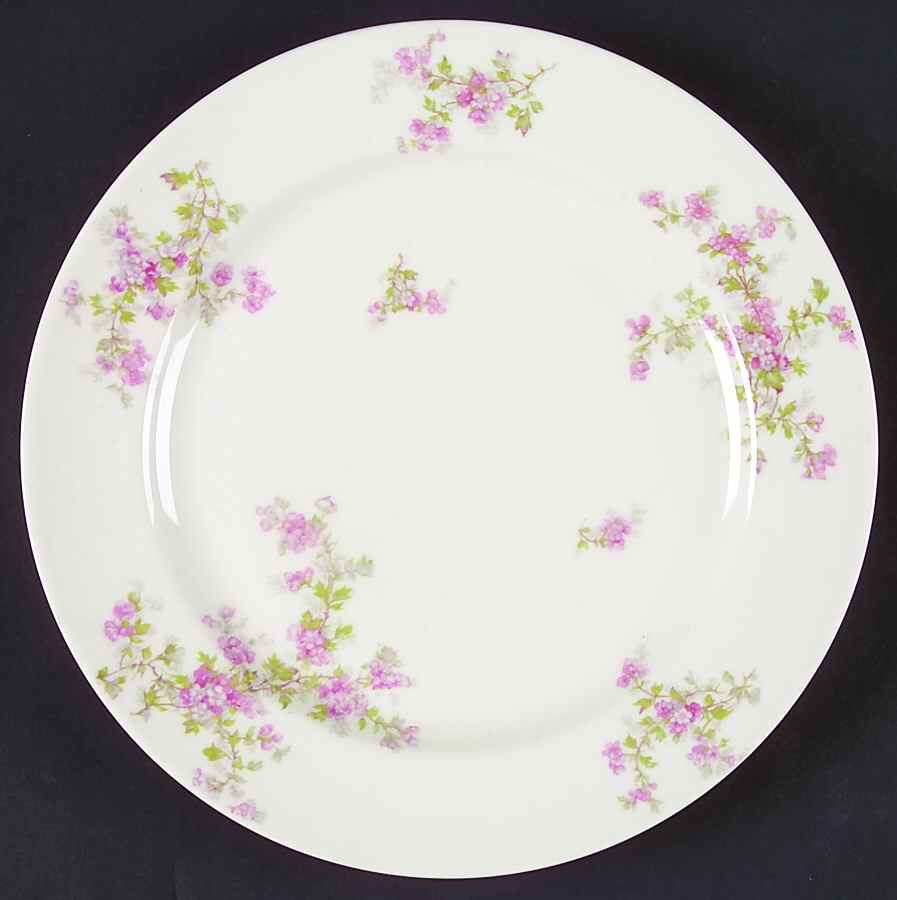Schleiger 29a Dinner Plate by Haviland-1