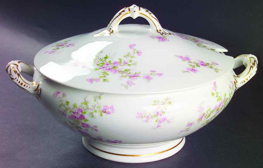 Schleiger 29a Tureen &  Lid by Haviland-1
