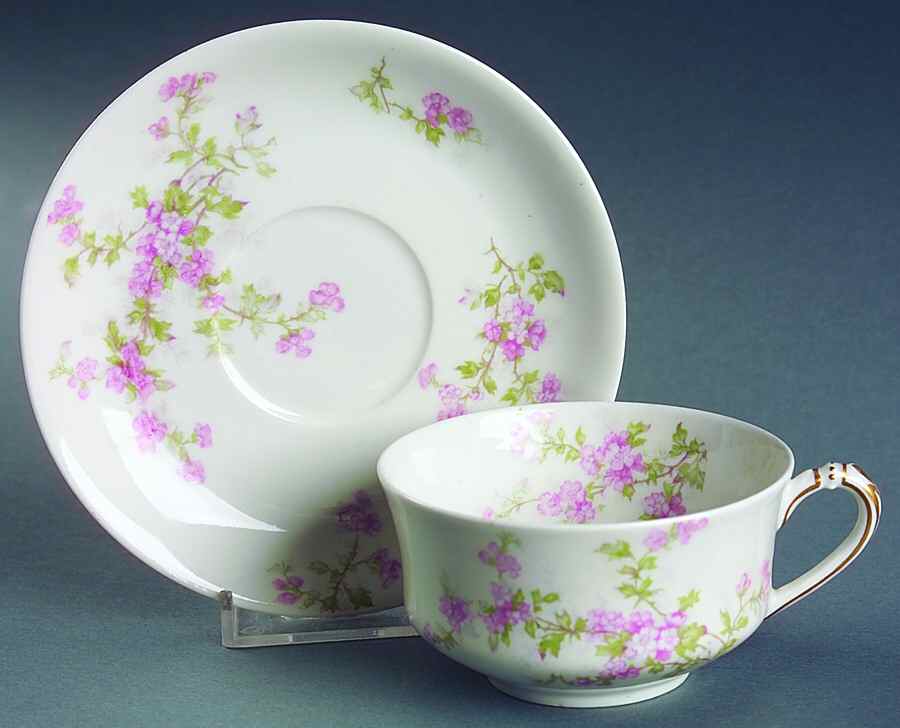 Schleiger 29a Flat Cup & Saucer Set by Haviland-1