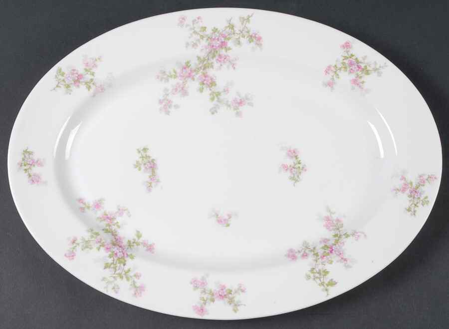 Schleiger 29a 13" Oval Serving Platter by Haviland-1