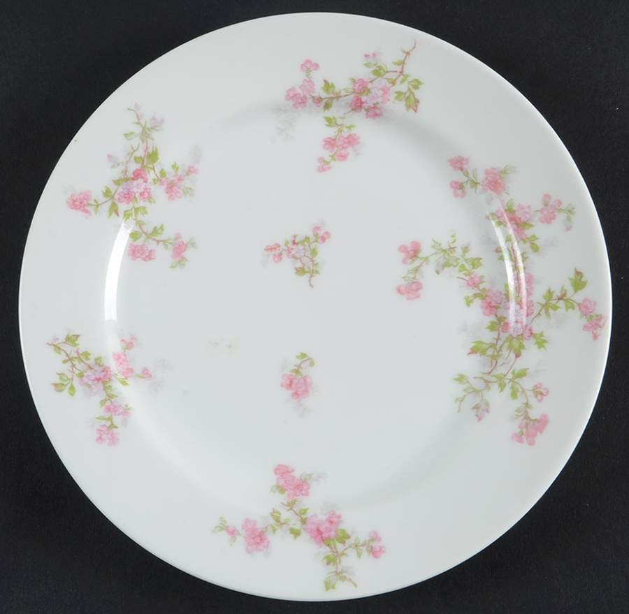 Schleiger 29a Salad Plate by Haviland-1