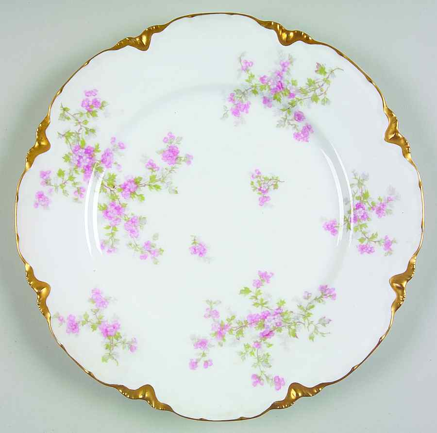 Schleiger 29e Dinner Plate by Haviland-1