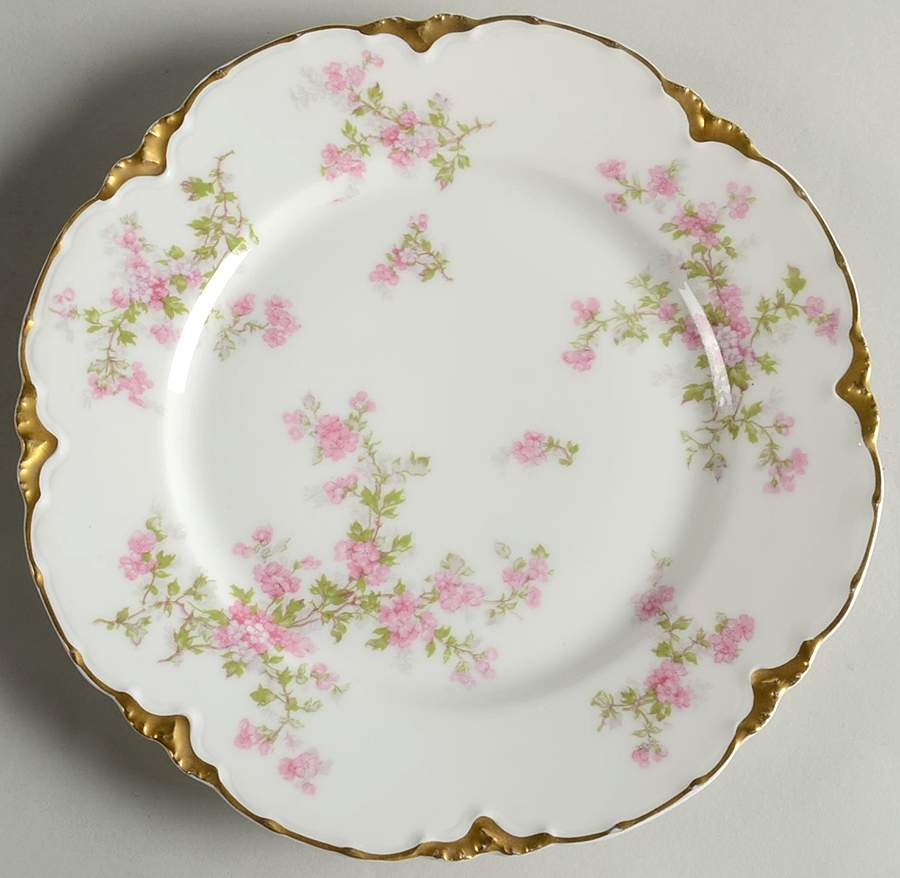 Schleiger 29e Luncheon Plate by Haviland-1