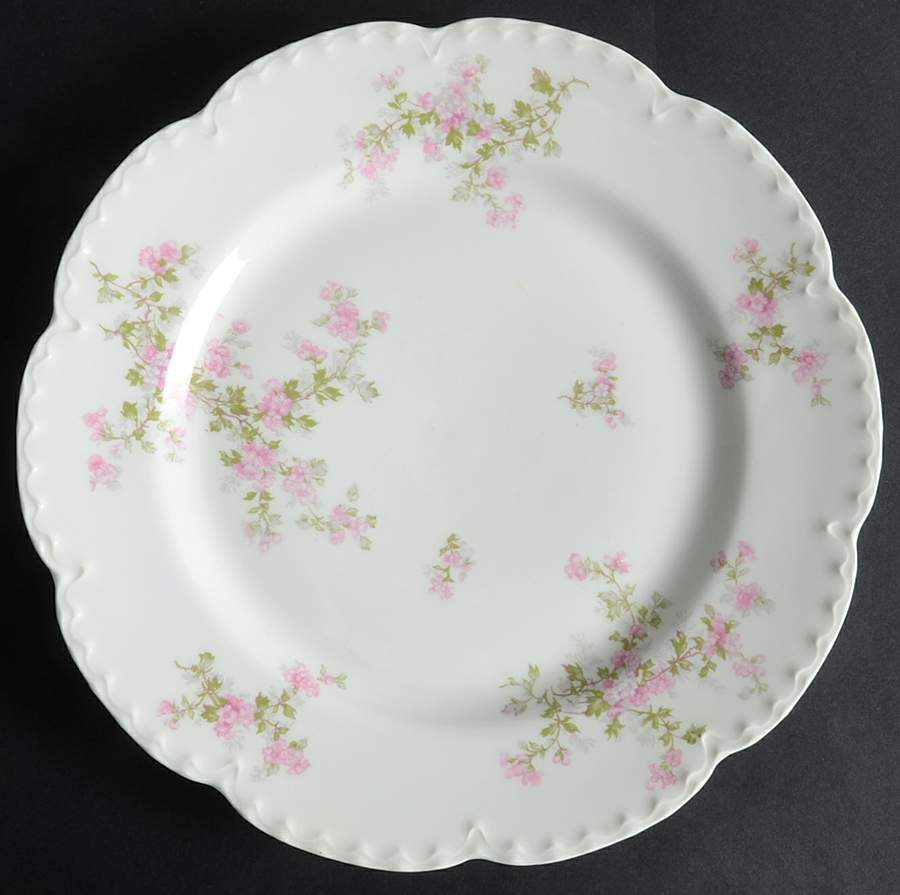 Schleiger 29h Dinner Plate by Haviland-1