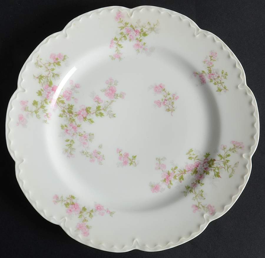 Schleiger 29h Luncheon Plate by Haviland-1