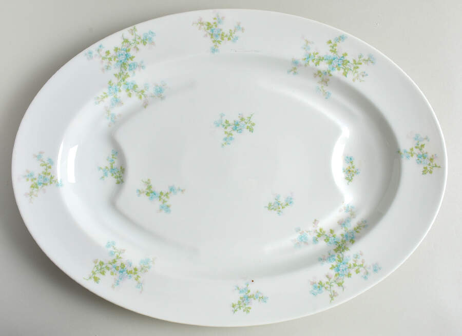 Schleiger 29i 18" Oval Serving Platter with Well by Haviland-1