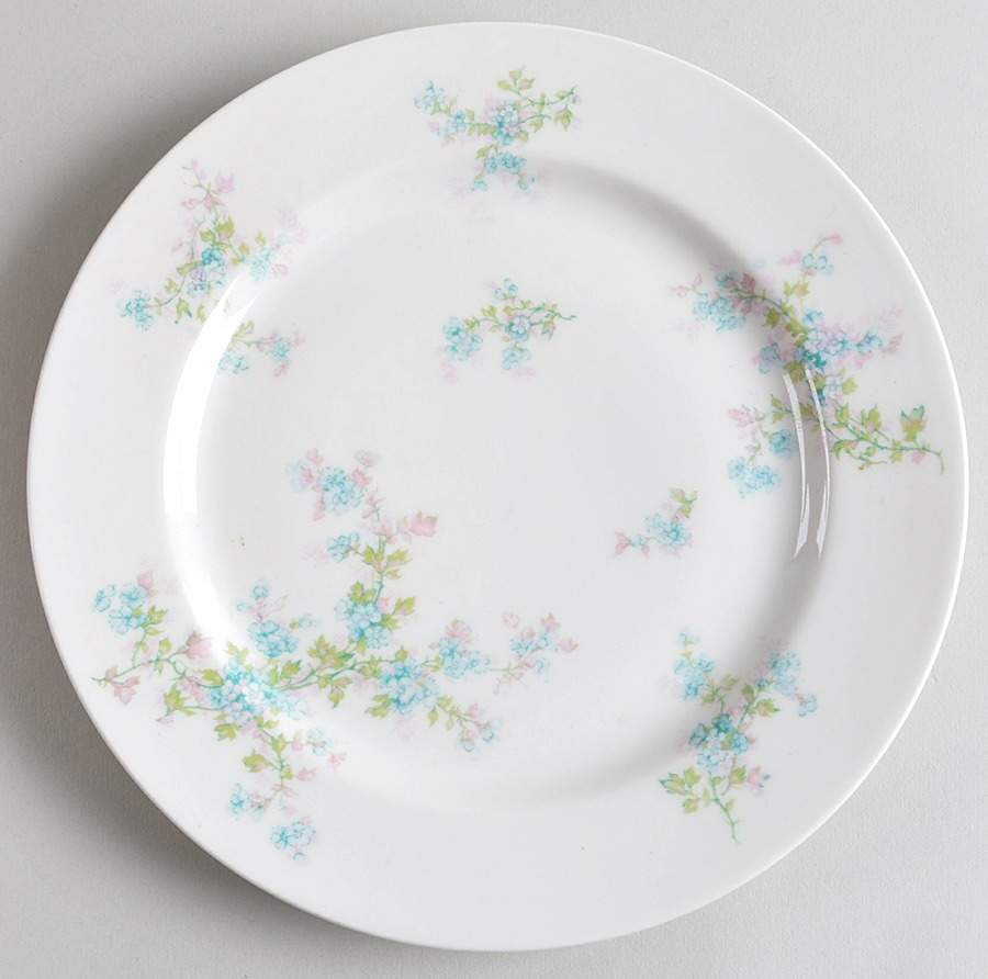Schleiger 29i Luncheon Plate by Haviland-1
