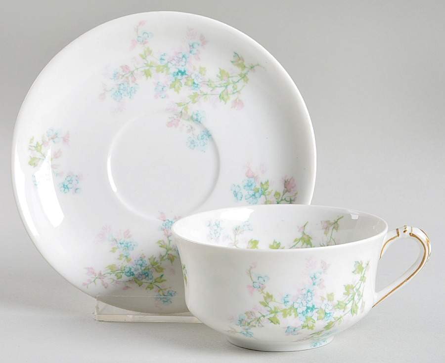 Schleiger 29i Flat Cup & Saucer Set by Haviland-1